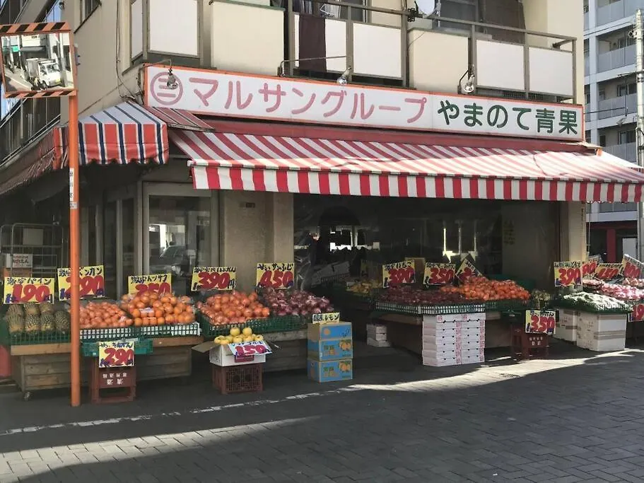 Shinagawa New Apt Easy Access To Both Haneda & Narita Airport Tokyo Apartment
